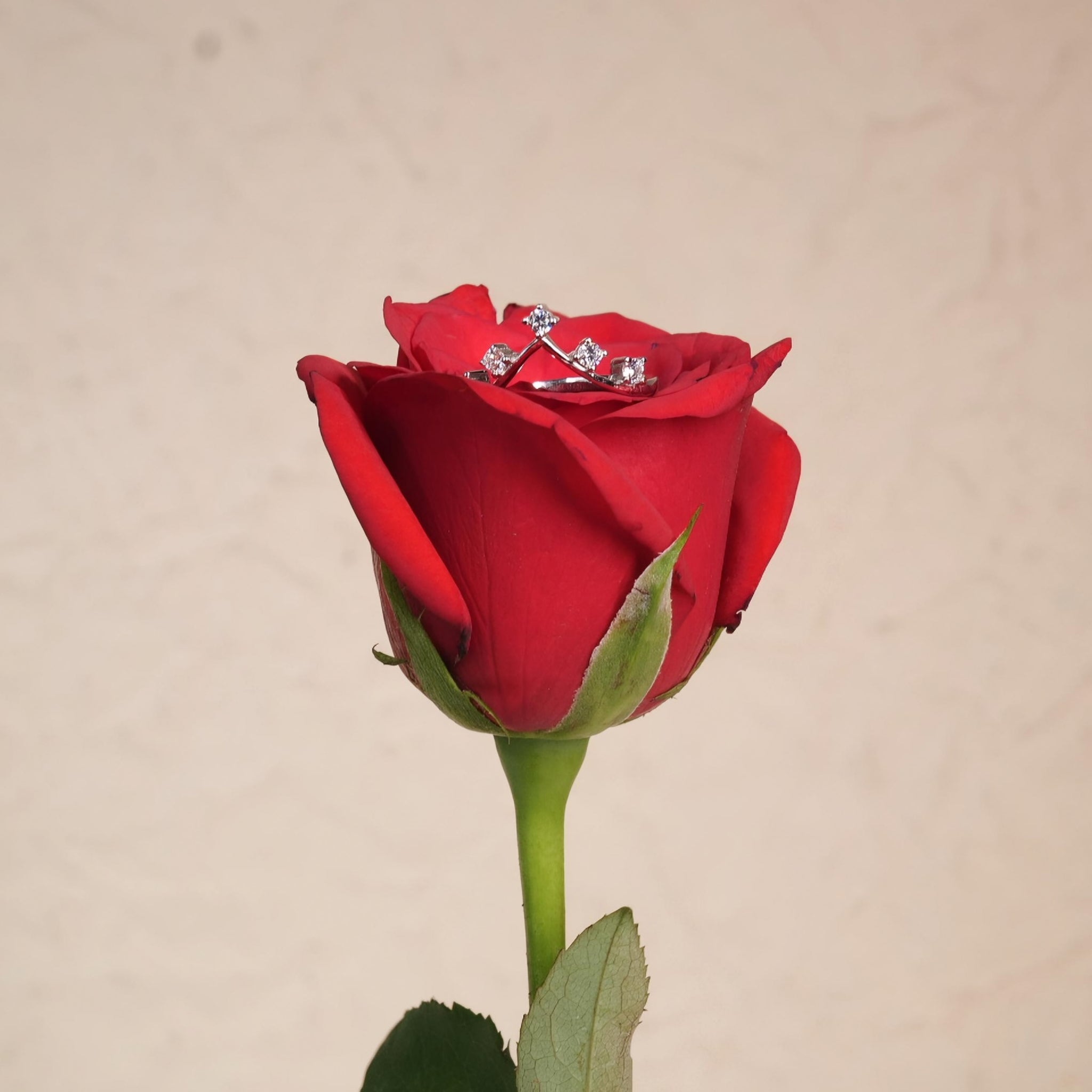 Celestia Crown Ring
